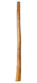 Gloss Finish Flared Didgeridoo (TW954)